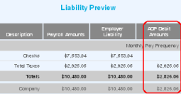 Liability Preview